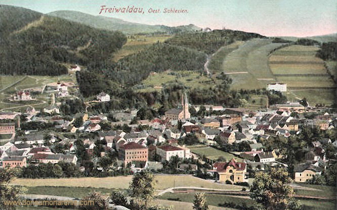 Freiwaldau, Ansicht