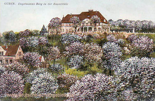 Guben, Engelmanns Berg in der Baumblüte