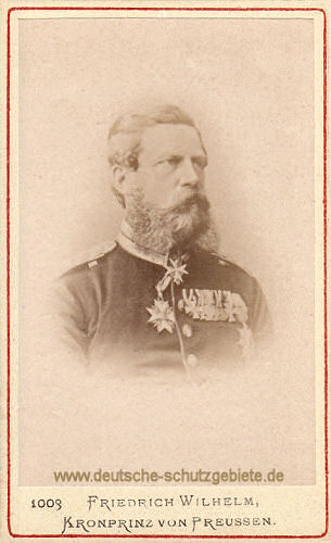 Kronprinz Friedrich Wilhelm, 1878