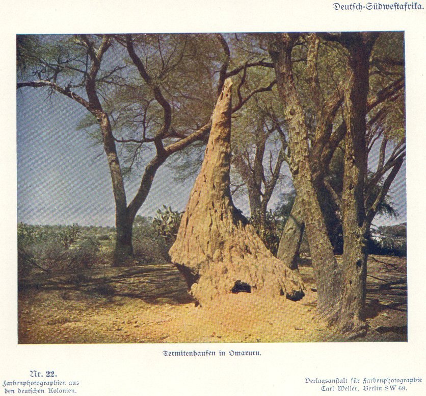 Nr. 22 Deutsch-Südwestafrika, Termitenhaufen in Omaruru