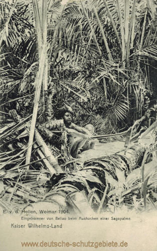 Kaiser Wilhelms-Land, Eingeborener von Beliao beim Aushacken einer Sagopalme