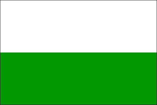 Königreich Sachsen, Flagge