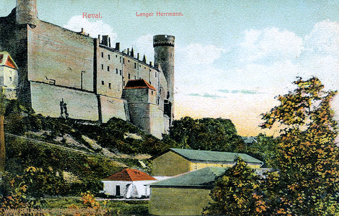 Reval (Tallinn). Langer Herrmann.
